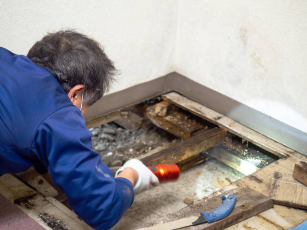 Best Mold Testing  in Checotah, OK