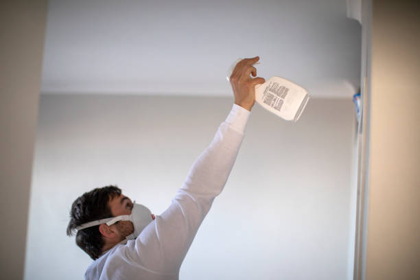 Best Affordable Mold Removal  in Checotah, OK