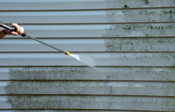 Home Mold Removal in Checotah, OK