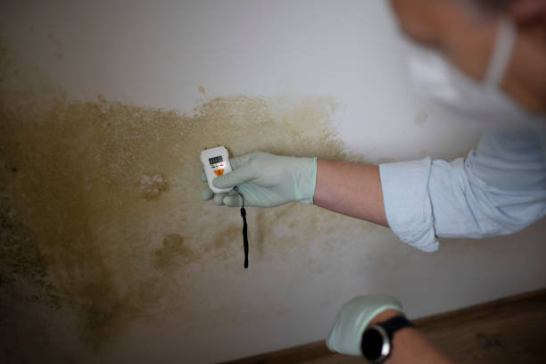 Best Mold Testing  in Checotah, OK