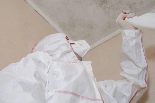 Best Professional Mold Removal  in Checotah, OK